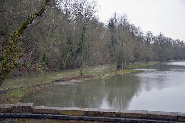 6. River Cherwell rushes south, January 12.jpg